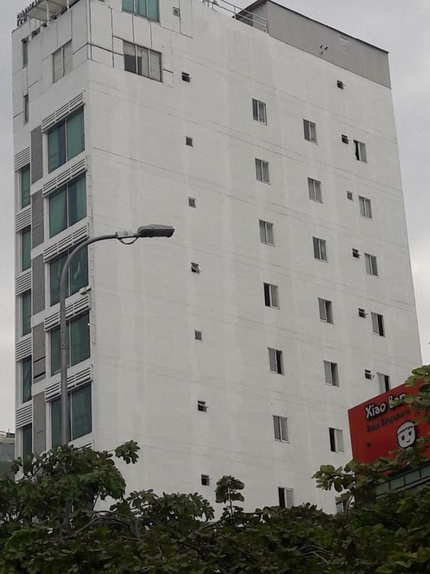 Park View Saigon Hotel Ho Chi Minh-staden Exteriör bild